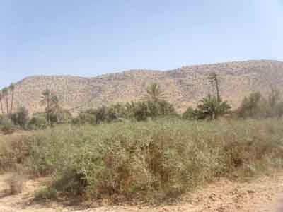 https://www.immotaroudant.com/bien/terrain-a-taroudant-t13562/