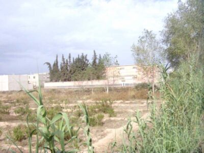 https://www.immotaroudant.com/bien/terrain-taroudant-t13567/