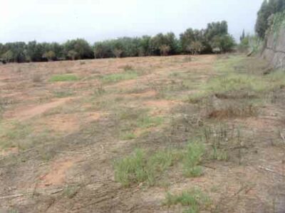 https://www.immotaroudant.com/bien/terrain-taroudant-t13598/