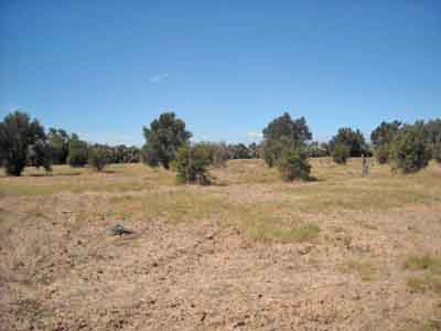 https://www.immotaroudant.com/bien/terrain-a-taroudant-t13600/