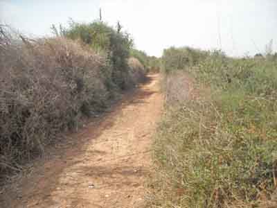 https://www.immotaroudant.com/bien/terrain-a-taroudant-t13601/