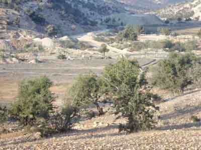 https://www.immotaroudant.com/bien/terrain-a-agadir-t13671/