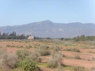 https://www.immotaroudant.com/bien/terrain-a-vendre-taroudant-constructible-titre-t13679/