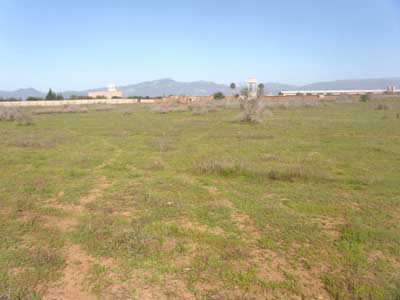 https://www.immotaroudant.com/bien/terrain-a-vendre-taroudant-titre-t13680/