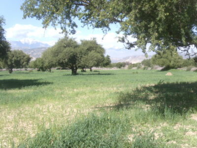 https://www.immotaroudant.com/bien/vente-terrain-taroudant-t13711/