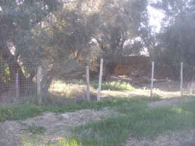 https://www.immotaroudant.com/bien/terrain-titre-a-vendre-a-taroudant-maroc-t13723/