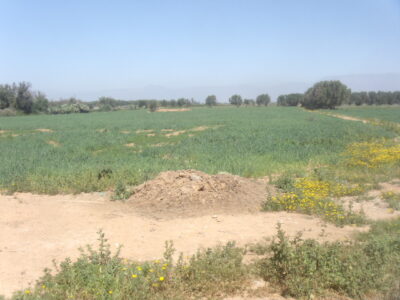 https://www.immotaroudant.com/bien/terrain-a-vendre-a-taroudant-t13724/
