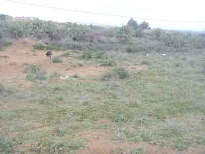 https://www.immotaroudant.com/bien/terrain-a-vendre-a-taroudant-t13725/