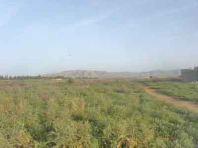 https://www.immotaroudant.com/bien/terrain-a-vendre-a-taroudant-t13735/