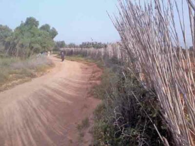 https://www.immotaroudant.com/bien/terrain-a-vendre-a-taroudant-t13757/