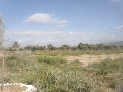 https://www.immotaroudant.com/bien/terrain-a-vendre-a-taroudant-titre-t13765/