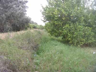 https://www.immotaroudant.com/bien/vente-terrain-a-taroudant-titre-t13787/