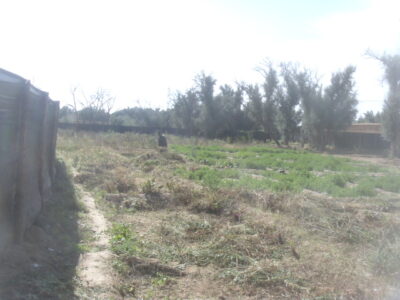 https://www.immotaroudant.com/bien/vente-terrain-taroudant-t13812/
