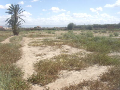https://www.immotaroudant.com/bien/vente-terrain-a-taroudant-t13813/