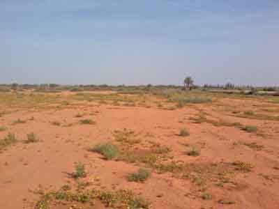 https://www.immotaroudant.com/bien/vente-terrain-taroudant-t13821/