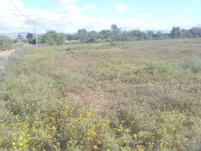 https://www.immotaroudant.com/bien/vente-terrain-taroudant-t13822/