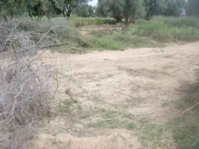 https://www.immotaroudant.com/bien/vente-terrain-a-taroudant-t13824/