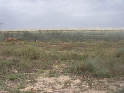 https://www.immotaroudant.com/bien/vente-terraines-a-taroudant-t13825/