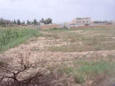 https://www.immotaroudant.com/bien/terrain-en-vente-a-taroudant-t13826/