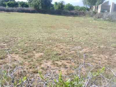 https://www.immotaroudant.com/bien/terrain-a-vendre-a-taroudant-t13834/