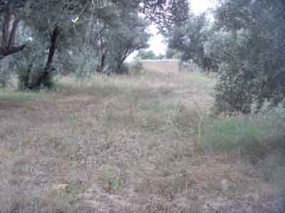 https://www.immotaroudant.com/bien/vente-terrain-taroudant-t13847/