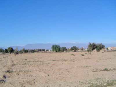 https://www.immotaroudant.com/bien/vente-terrain-a-taroudant-t14064/