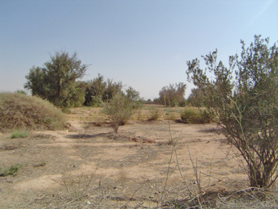 https://www.immotaroudant.com/bien/vente-terrain-a-taroudant-t14072/