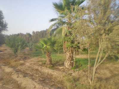 https://www.immotaroudant.com/bien/vente-terrain-taroudant-t14129/