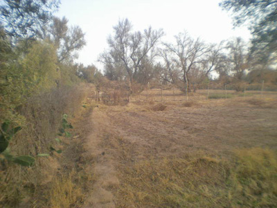 https://www.immotaroudant.com/bien/vente-terrain-taroudant-t14131/