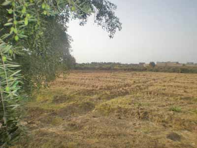 https://www.immotaroudant.com/bien/vente-terrain-taroudant-t14138/