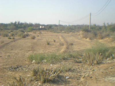 https://www.immotaroudant.com/bien/vente-terrain-taroudant-t14154/