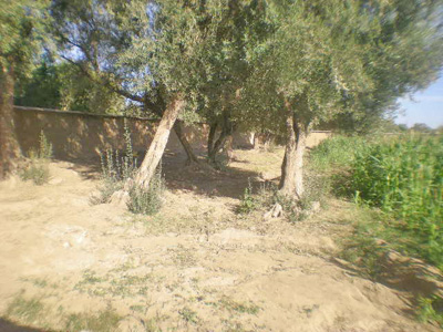 https://www.immotaroudant.com/bien/vente-terrain-taroudant-t14155/