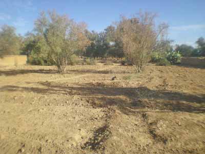 https://www.immotaroudant.com/bien/vente-terrain-taroudant-t14157/