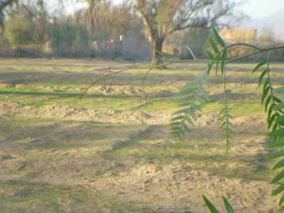 https://www.immotaroudant.com/bien/vente-terrain-taroudant-t14160/