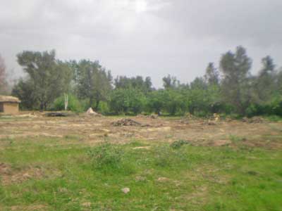 https://www.immotaroudant.com/bien/vente-terrain-taroudant-t14191/