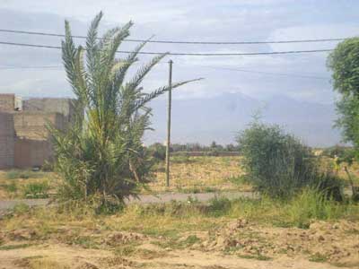 https://www.immotaroudant.com/bien/terrain-a-vendre-a-taroudant-maroc-t14195/