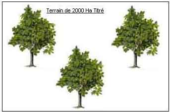 https://www.immotaroudant.com/bien/terrain-agricole-de-2000ha-t13593/