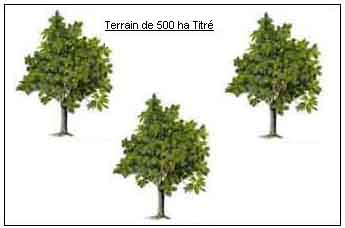 https://www.immotaroudant.com/bien/terrain-agricole-de-500ha-t13589/