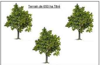 https://www.immotaroudant.com/bien/terrain-agricole-de-650ha-t13588/