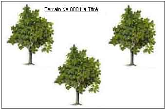 https://www.immotaroudant.com/bien/terrain-agricole-de-800ha-t13590/
