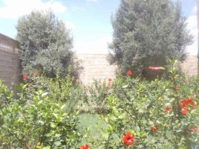 https://www.immotaroudant.com/bien/vente-villa-taroudant-v13802/