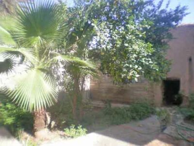 https://www.immotaroudant.com/bien/riad-taroudant-r13147/