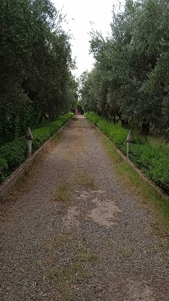 Belle villa avec piscine VS66E — photo 3