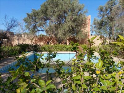 https://www.immotaroudant.com/bien/villa-avec-jardin-ref-v25kl/