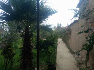 https://www.immotaroudant.com/bien/a-vendre-riad-avec-belle-jardin-ref-v2544ee/