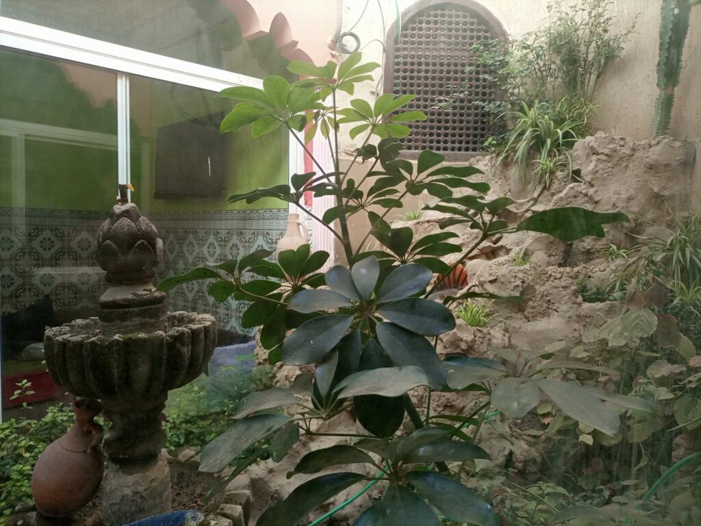Maison de cascade M21EEZ — photo 2