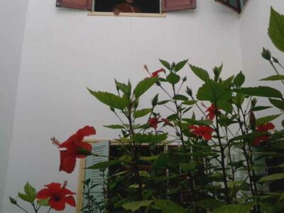 https://www.immotaroudant.com/bien/maison-nadiri-ref-m14587/