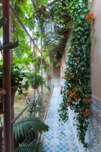 https://www.immotaroudant.com/bien/riad-asma-en-location-ref-ld225r/