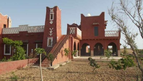 https://www.immotaroudant.com/bien/a-vendre-maison-traditionnelle-avec-jardin/