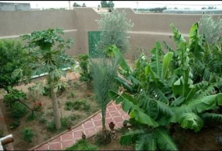 https://www.immotaroudant.com/bien/riad-amin-en-location-l4yyh/